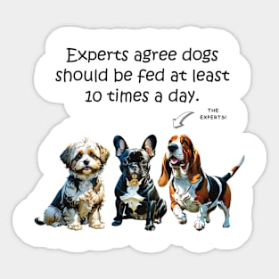 Experts agree dogs should be fed at least 10 times a day - funny watercolour doggie designs Sticker